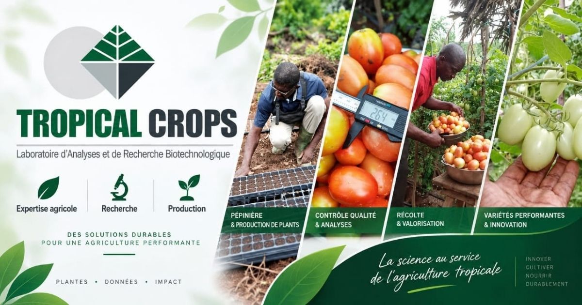 Tropical Crops